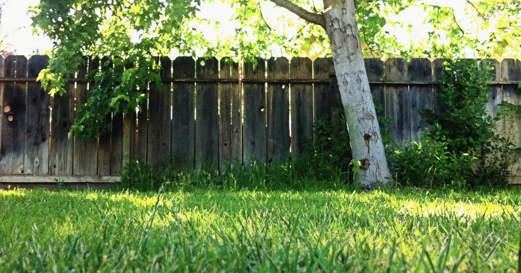 How to Get Your Tenants to Take Care of Your Yard