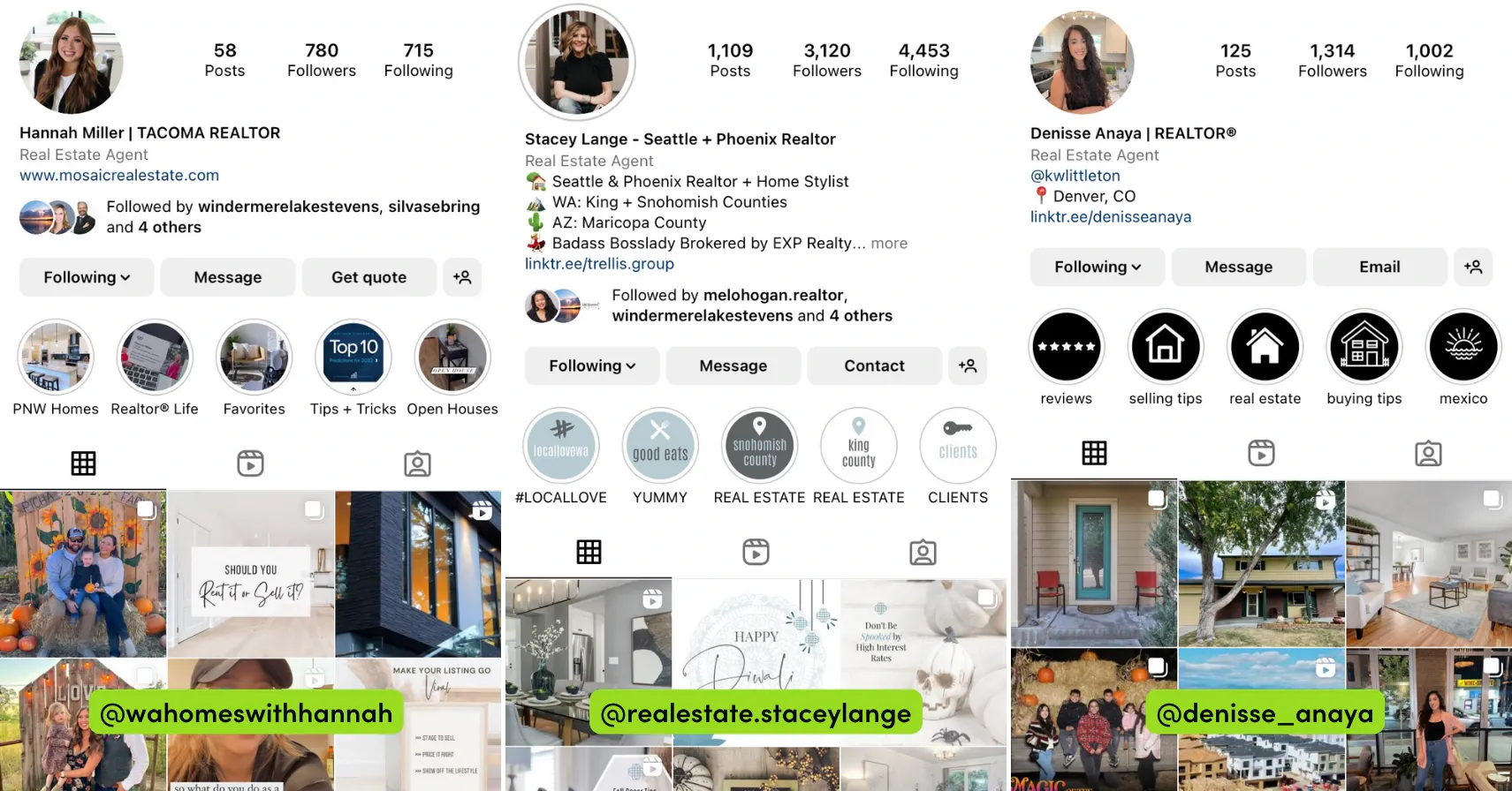 Instagram profile screenshots for real estate agents @wahomeswithhannah, @realestate.staceylange, and @denisse_anaya